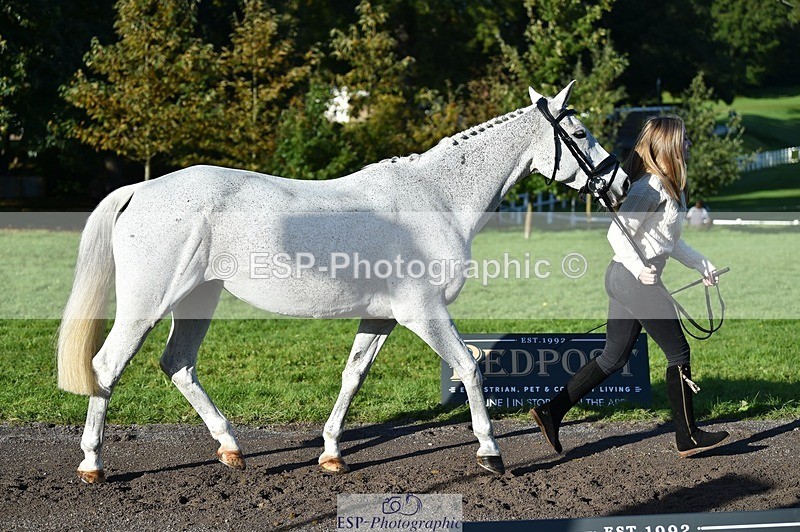 231022-101012-22277 - 443-OVERLEY.STORMBREAKER-Laney.Cridland-TrotUp+SJ