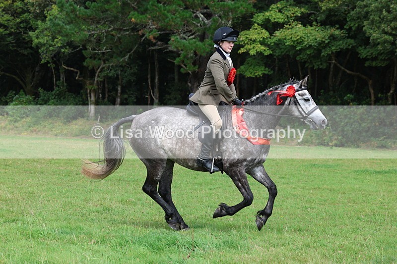 3E7A6205 - Working Hunter Championship