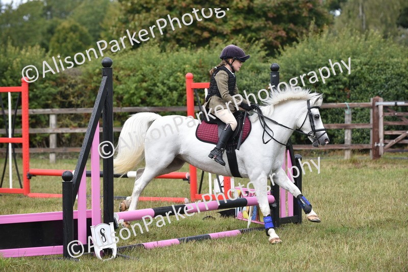 20250831-1871 - Class 9 - Absolute Novice 45cm