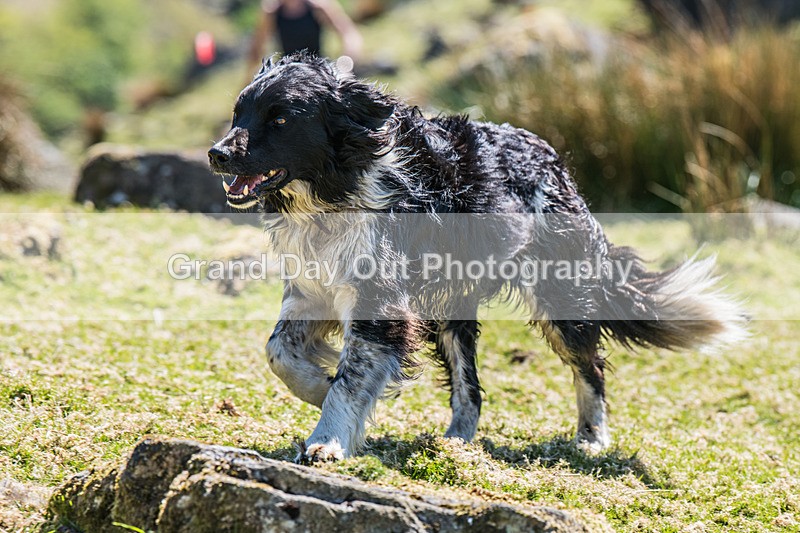 Glaramara-227 - Glaramara Fell Race Saturday 17th May 2025