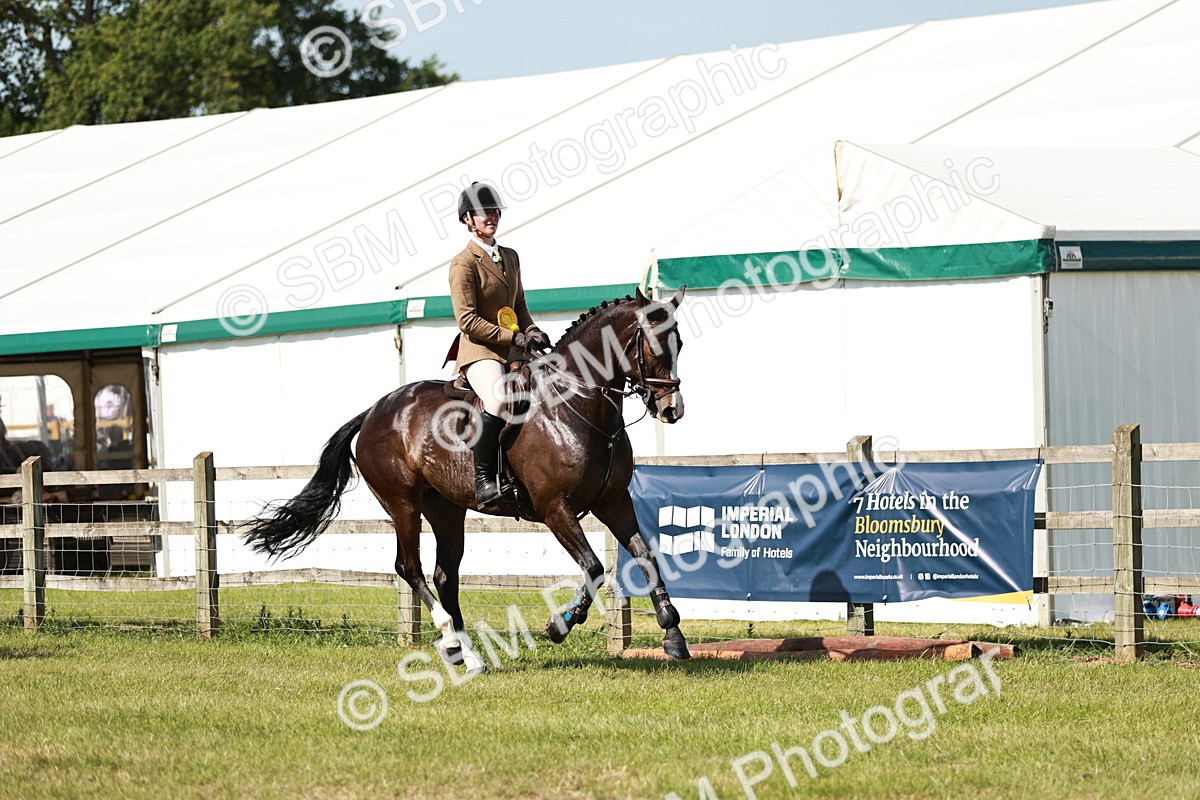 SBM_18492 - Class 112-113 - BSPS LIHS Working Sports Pony