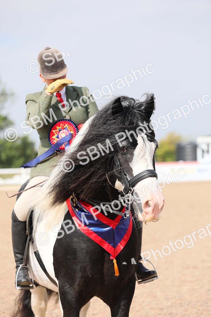 SBM_12847 - Class 307 Ridden Coloured Pony