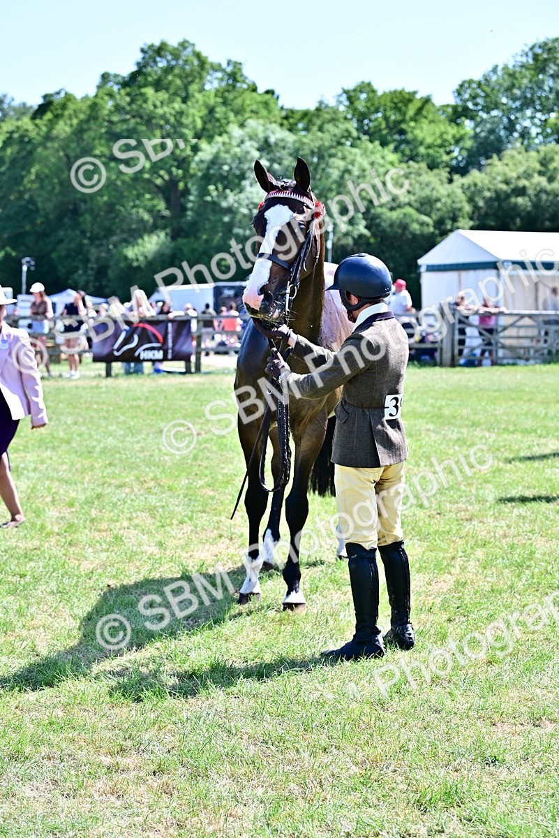 SBM_18168 - Class 99-100 - Retraining of Racehorses Ridden