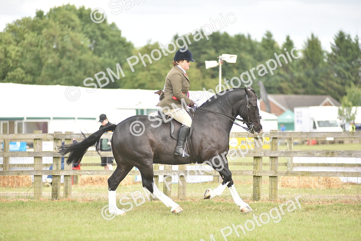 SBM_18269 - Class 122-123 - LIHS BHSA Raising Star Style and Performance Series