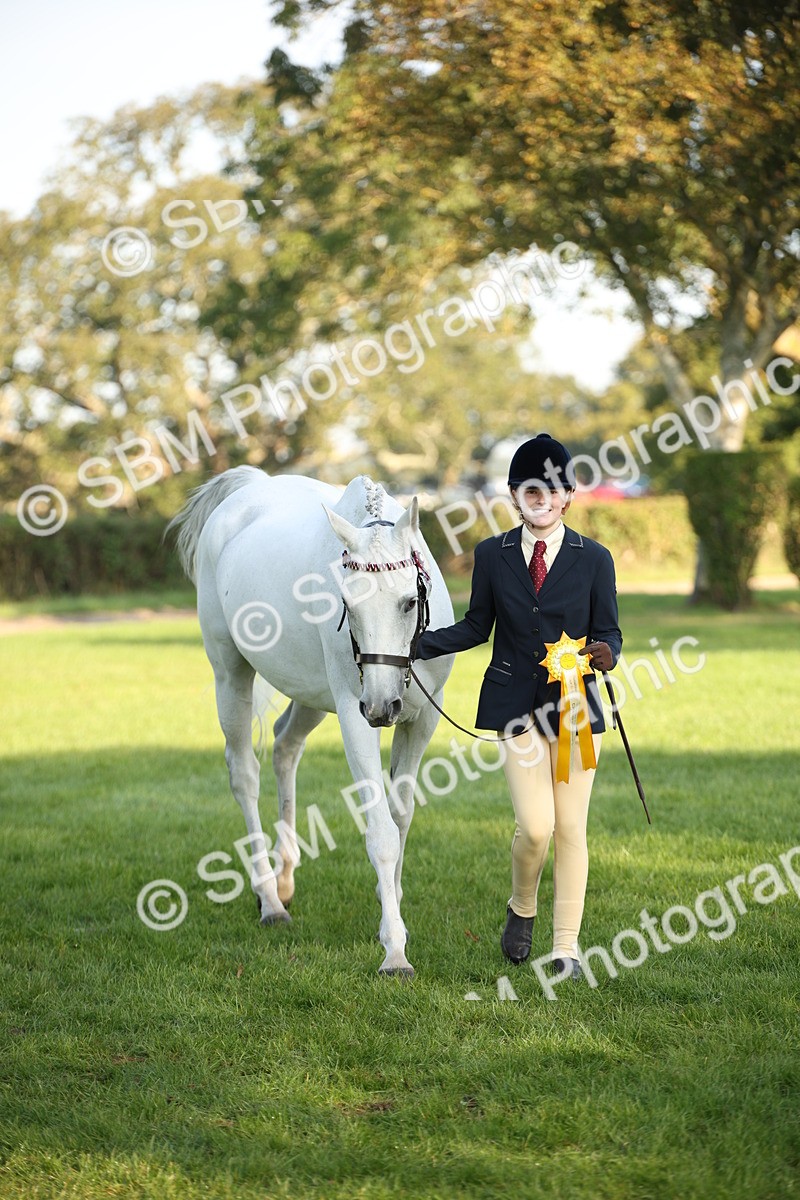 SBM_57600 - S50 - Foreign Breeds In Hand