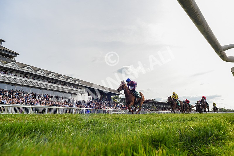 020526-Race 7-Rising Force-1834 - Race 7 5.00pm Sky Bet Irish Day Saturday 16th May Book Now Handicap