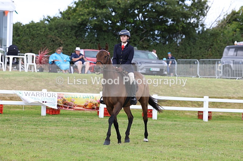 3E7A2385 - Class 11: Retraining of Racehorse