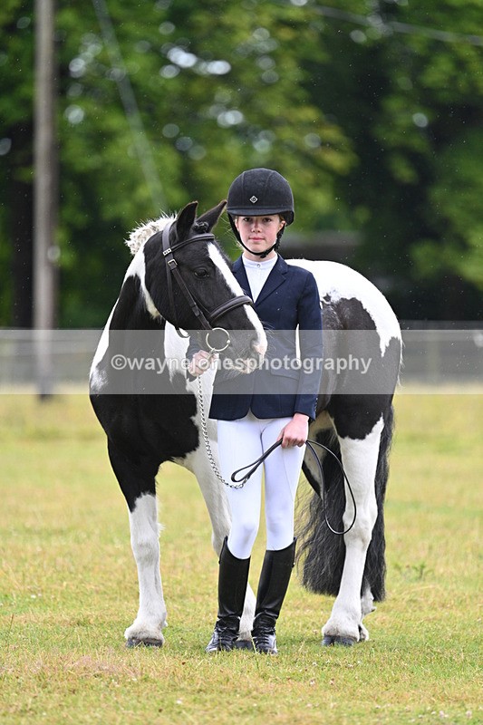 WJ7_5889 - Class 4 Prettiest Mare in Hand