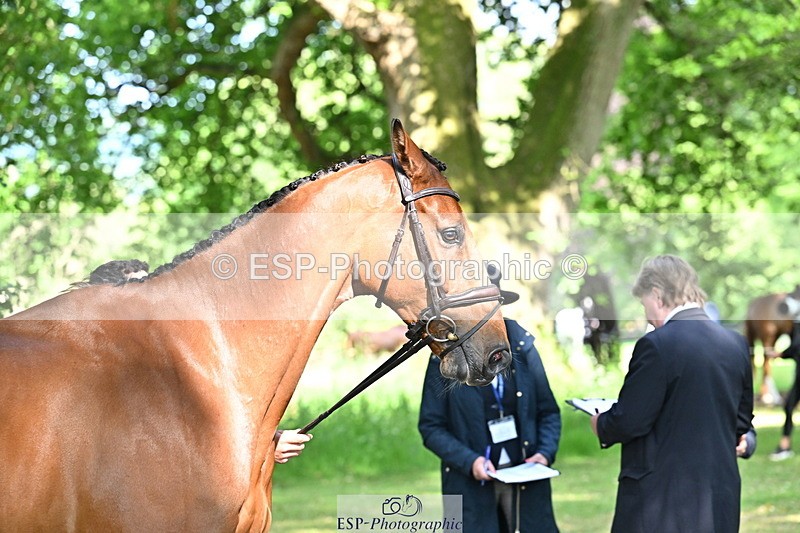 250521A-163952-01267 - C-251-Freddie.Carden-MBF.VITAL.FINESSE