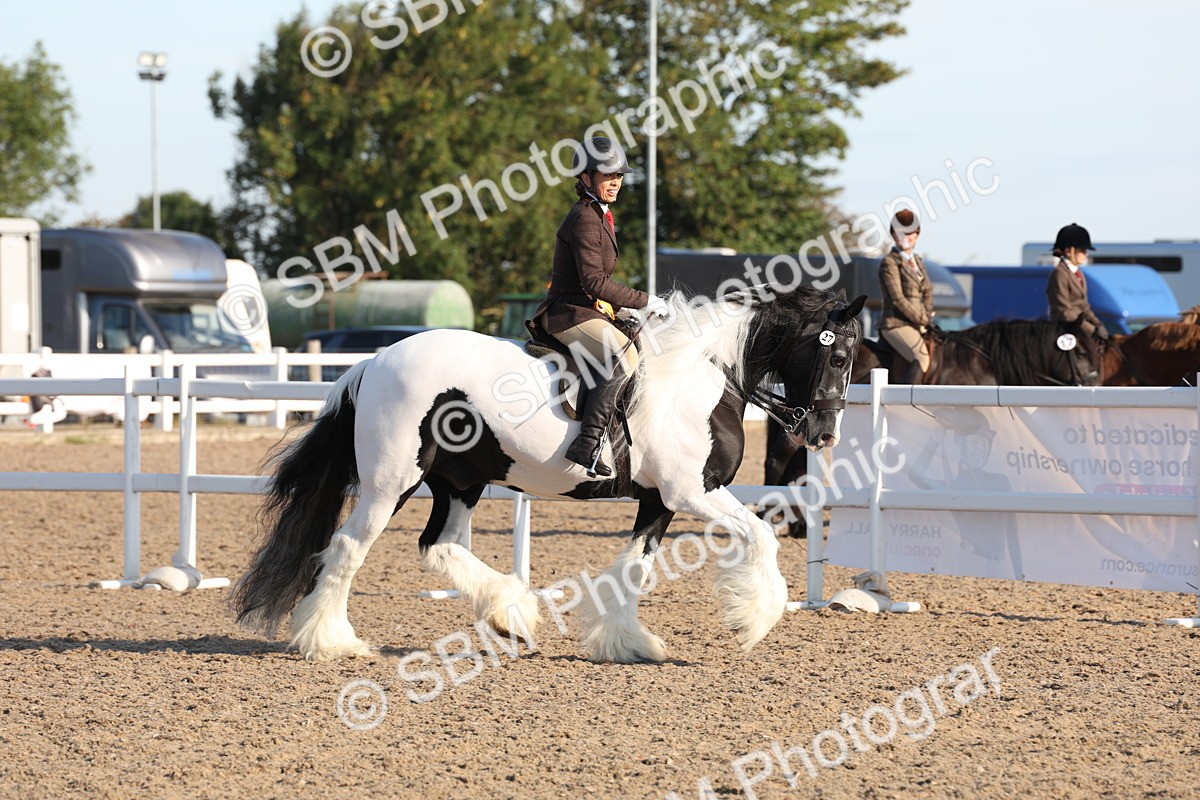 SBM_10881 - Class 202 - Best Turned Out - Ridden