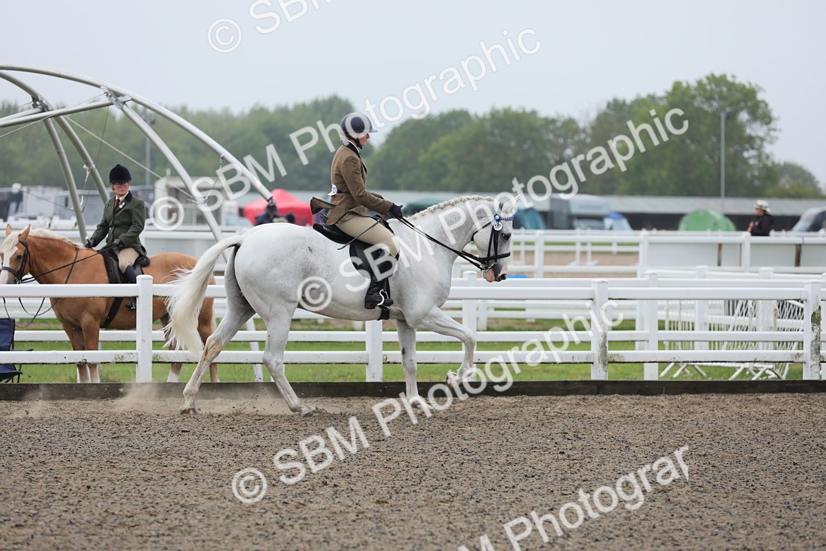 SBM_20043 - Class 802 - Ridden Groom - Helpers class