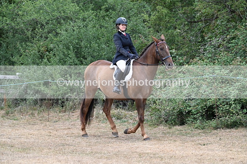 WJ7_0749 - Class 7 Riding Club Show Horse