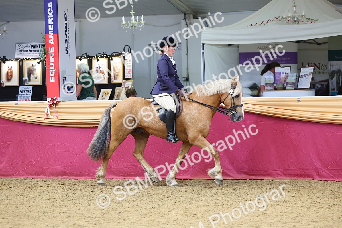 SBM_23482 - Class 904 - Supreme Final Ridden Diamond
