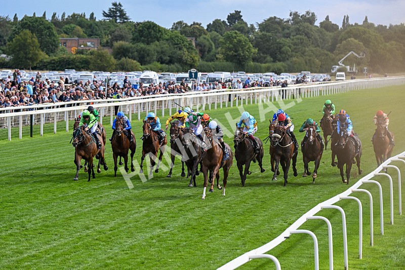 210826-Race 4-Bacio-0227 - Race 4 15.35pm Coolmore City Of Troy Nunthorpe Stakes