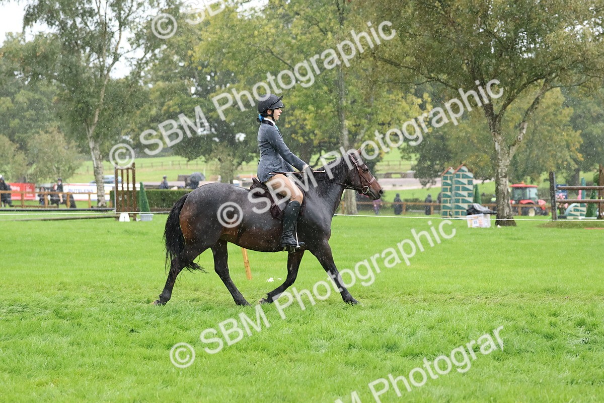 SBM_36809 - S11 - Best Ridden Horse & Pony