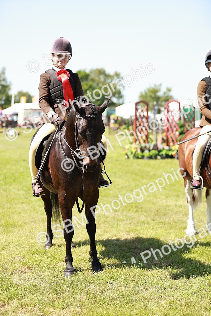 SBM_17658 - Class 112-113 - BSPS LIHS Working Sports Pony