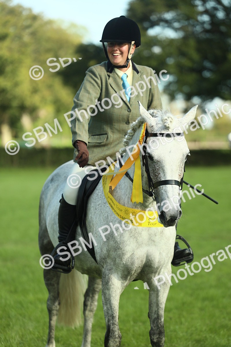 SBM_49924 - S32 - Novice & Newcomers Working Hunter