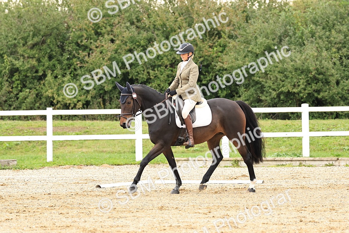 SBM_000207 - Prelim 2