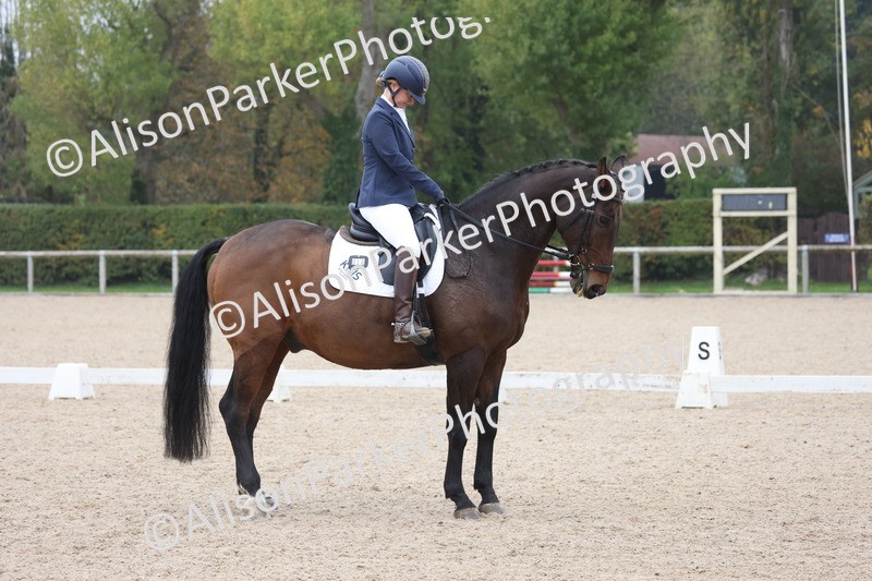 20251012-0636 - Class 5 - Elementary 5