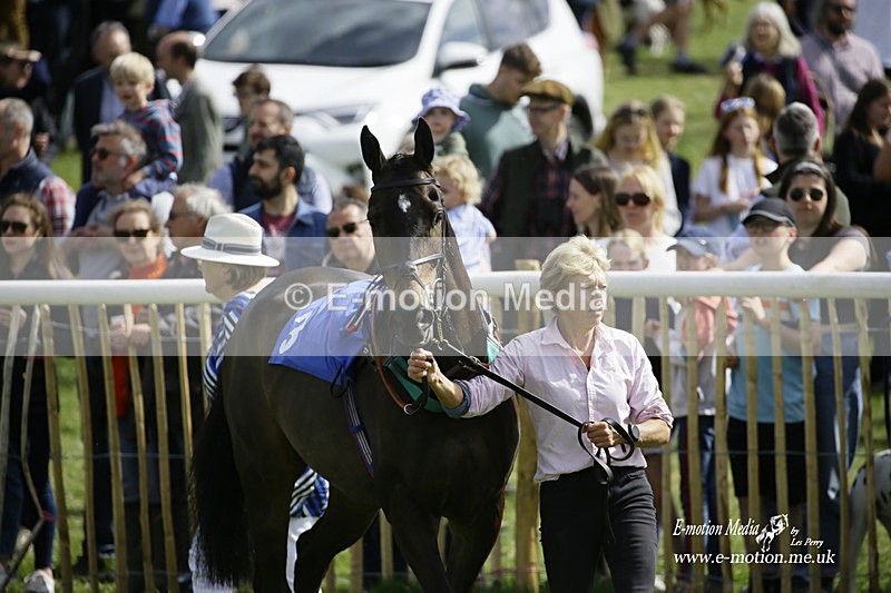 PtP 180422 20 - Old Berkshire PtP Lockinge 18/04/22