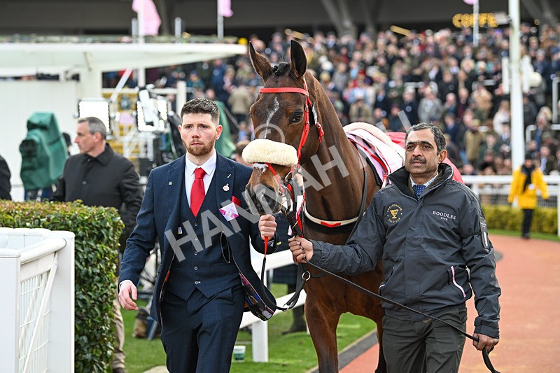 140325-The Real Whacker-WR-5019 - 14th March