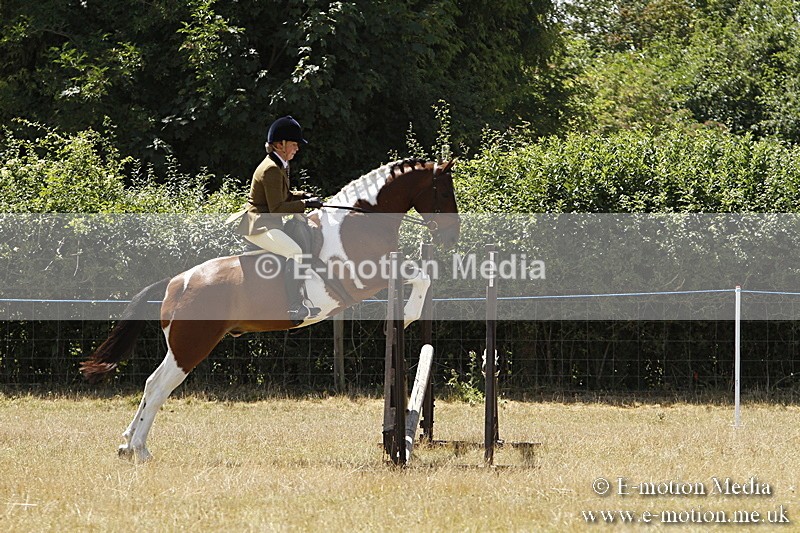 _BS_0892 - BVRC Show 2018 Ring 3