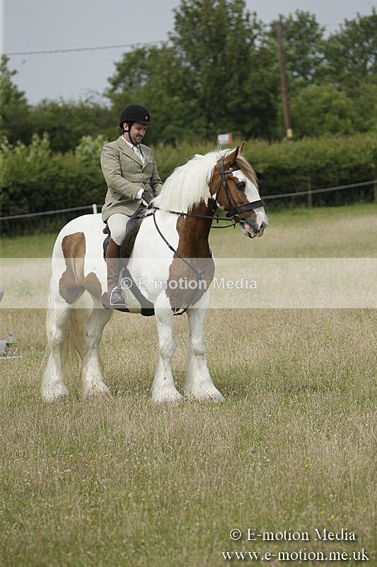 B230619-0455 - Bourne Valley Riding Club Summer Show 23/06/19