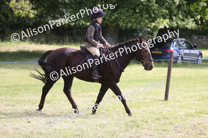 20260614-0527 - Class 20 - Beginners Working Hunter Pony