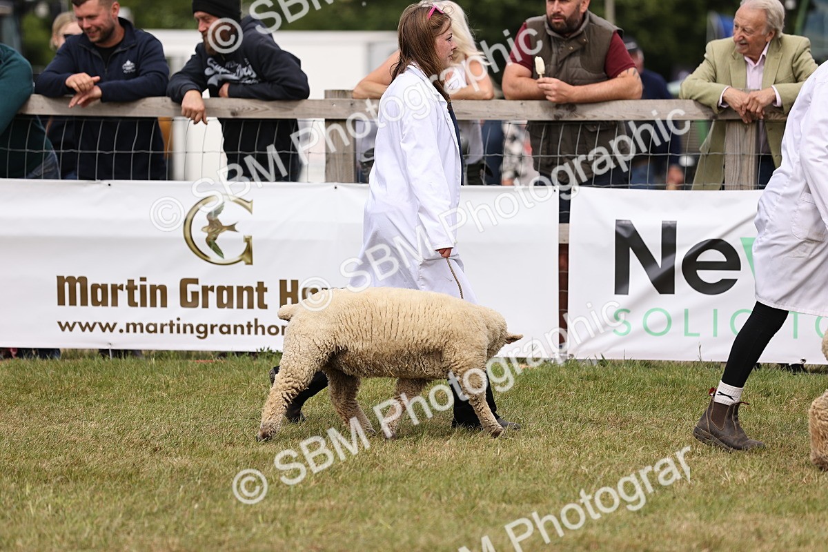 SBM_16851 - Grand Parade