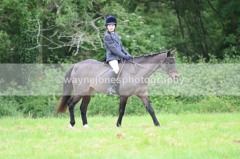 WJ7_4374 - Class 14B Prettiest Mare