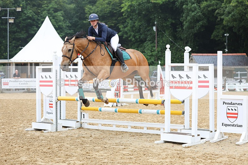 3E7A5274 - Class 4: Senior British Novice/90cm open