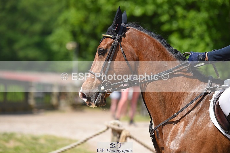 230528-114550-15358 - 352-TEQUILA_SUNRISE-Pippa_Taylor-SUNTrotUp+SJ