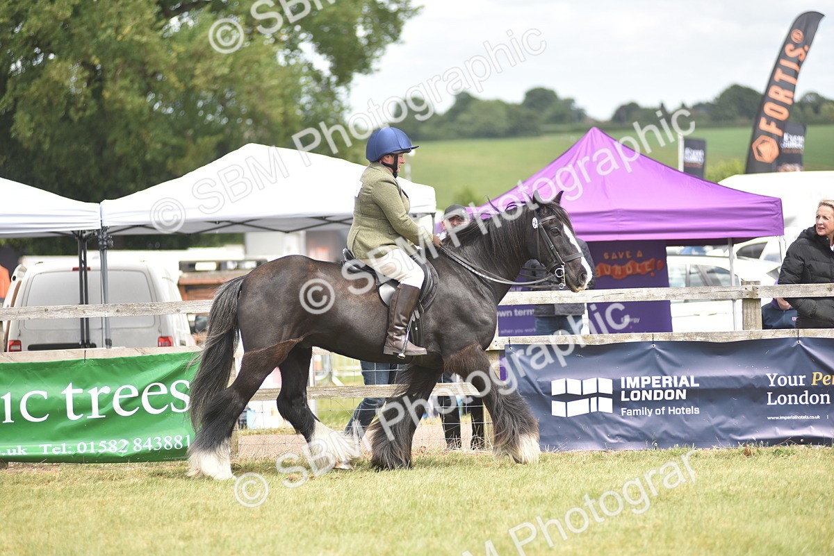 SBM_15960 - Class 117-122 - SSADL RIHS Qualifier