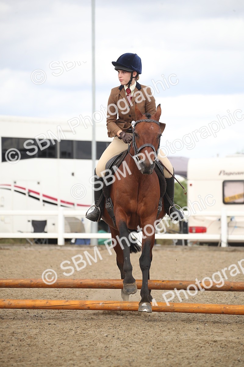 SBM_15287 - Class 506b - Working Veteran - 50cm (20+)