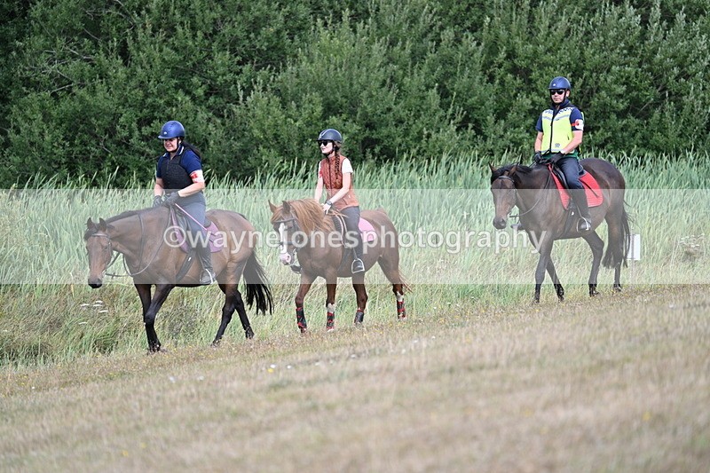 WJ7_5209 - Time 11:22 to 11:41