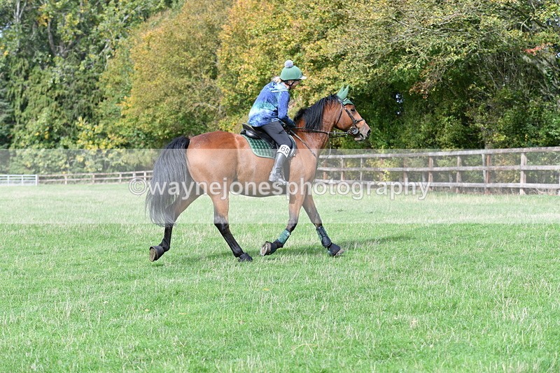 WJ5_9381 - Time 13:03 to 13:25