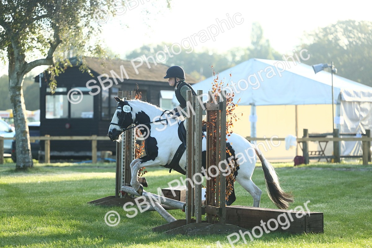 SBM_37137 - S29 - Novice & Newcomers Working Hunter Pony