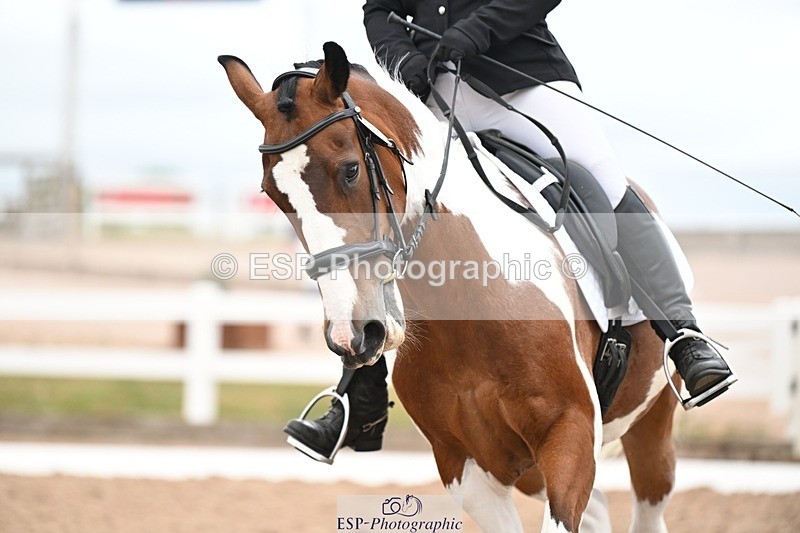 250705-175534-03200 - N3 Section BDNOV3 15.55 to 17.19