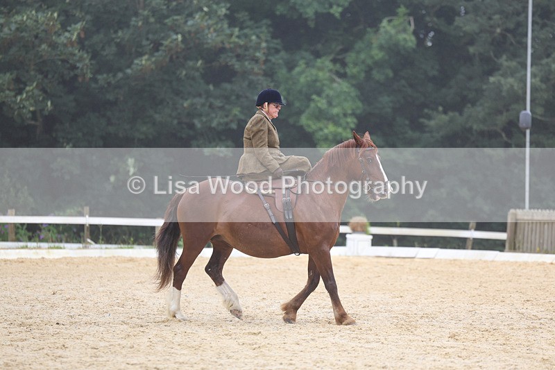 3E7A6861 - Class 5: Prelim to Music