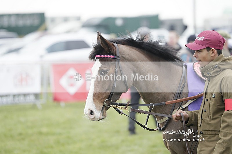 PtP 050323 87 - Blackmore & Sparkford Vale Hunt PtP - Somerset 05/03/23