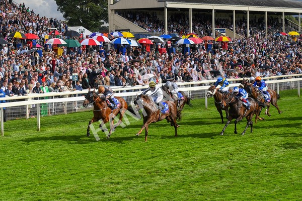 260823-Race 5-Summerghand-Albasheer-0761 - Race 5 Sky Bet Constantine Handicap