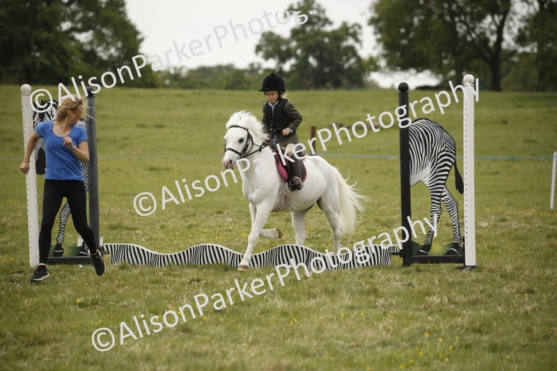 20250517-0983 - Class 2 - 30cm Off Lead Rein
