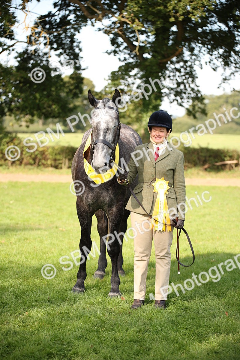 SBM_60135 - S53 - Hunter In Hand