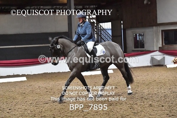 BPP_7895 - ELEM TEST 6