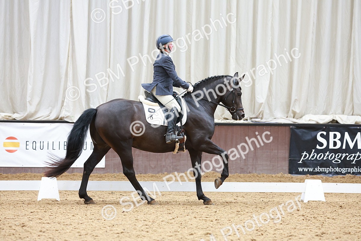 SBM_007640 - Class 4-5-6 - Prel 3-Novice 2-Ele 2