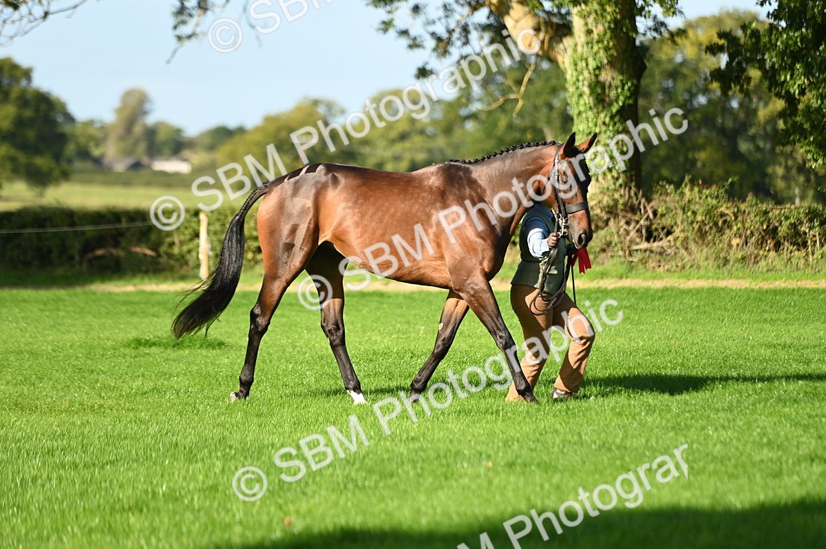 SBM_15813 - S1 - TSR in Hand Horse & Pony Showing
