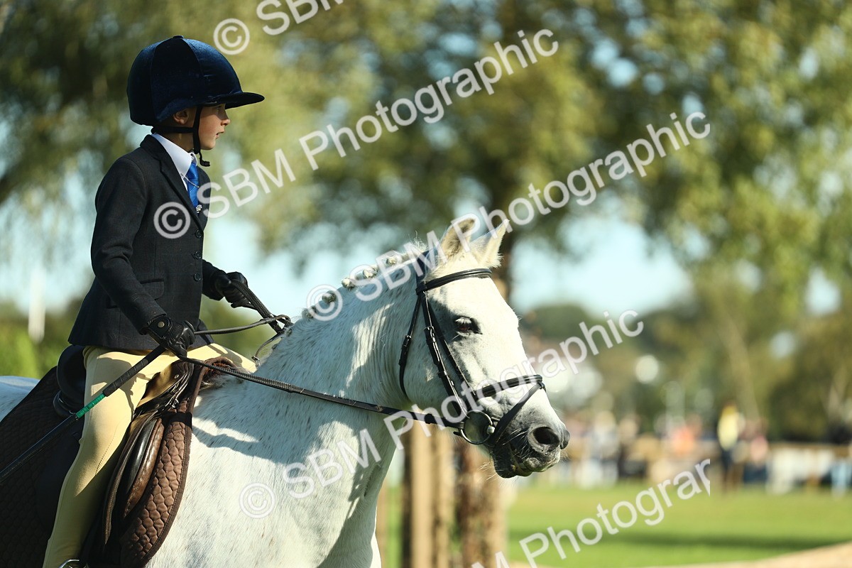 SBM_36475 - S29 - Novice & Newcomers Working Hunter Pony