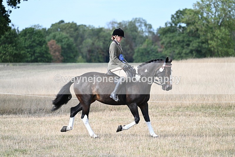 WJ7_7646 - Ridden Championship