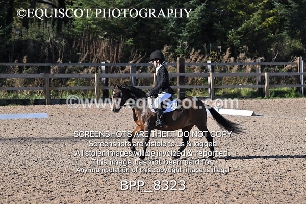 BPP_8323 - LONG ARENA