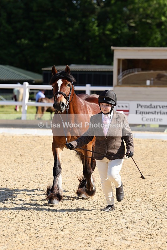 1X9A0557 - Class 2: M & M $ years and over
